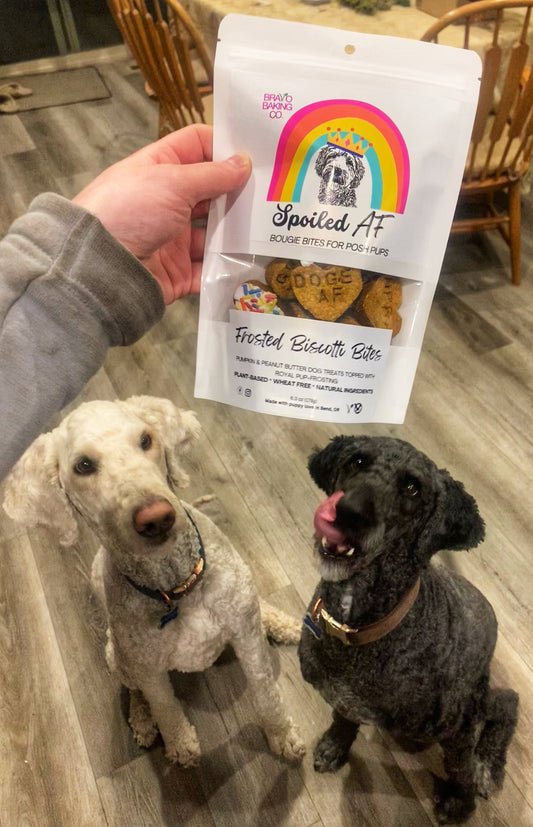 Flaxseed Meal for Dogs: A Nutritional Powerhouse